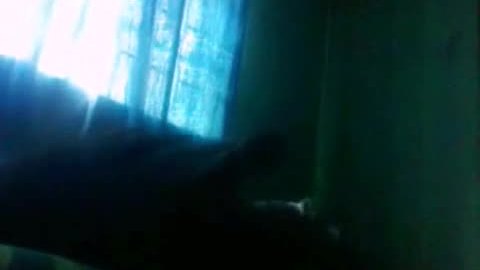 480px x 270px - Rangpur hot girl shila sex her boy friend rubel sex video | NudeVista