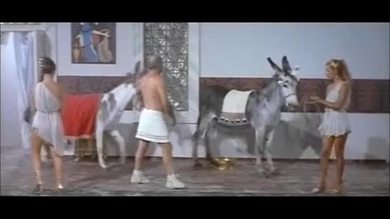 Caligula & messalina (1981)
